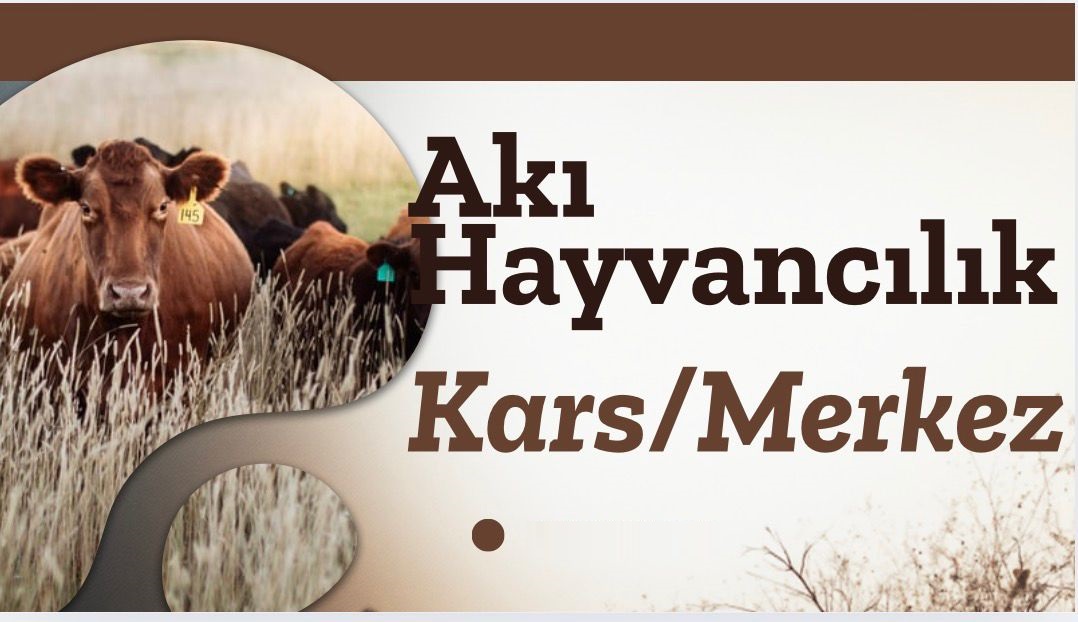 Aki Hayvancılık Kars